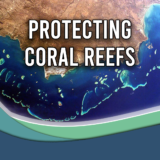 Protecting-Coral-Reefs-160x160